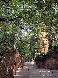 Kunming - Universite du Yunnan (63)